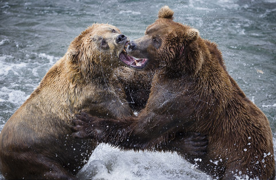 ��������˹�ӿ��������ҹ�԰���ܲ�����