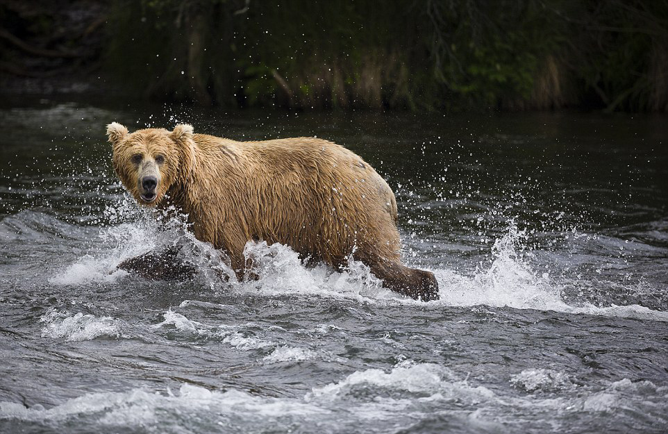 ��������˹�ӿ��������ҹ�԰���ܲ�����