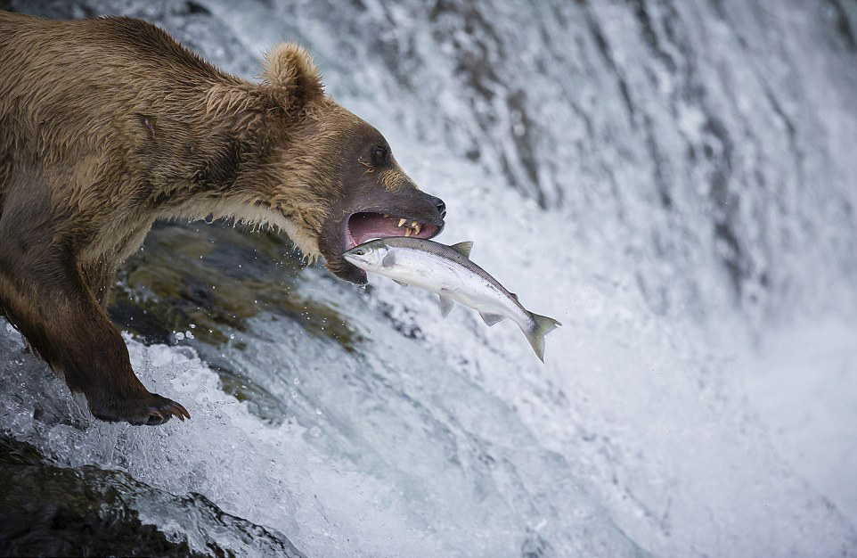 ��������˹�ӿ��������ҹ�԰���ܲ�����