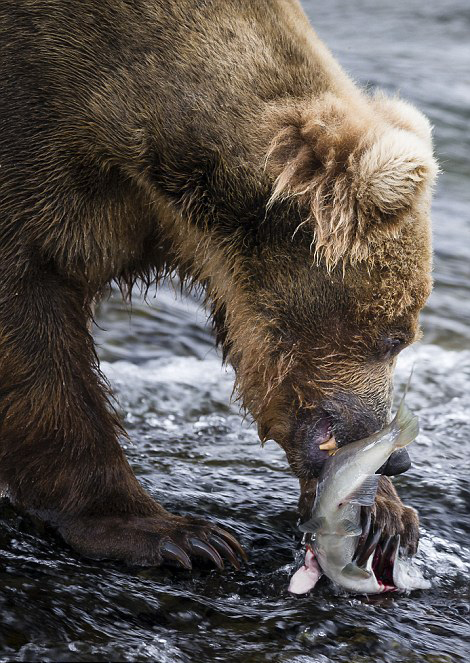 ��������˹�ӿ��������ҹ�԰���ܲ�����