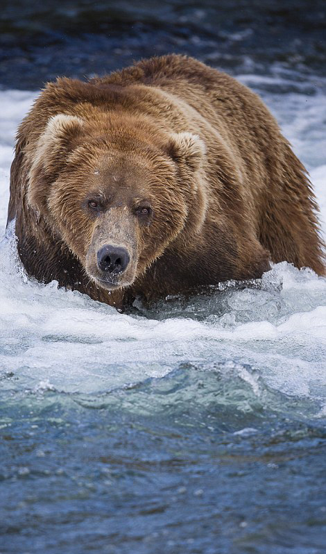 ��������˹�ӿ��������ҹ�԰���ܲ�����