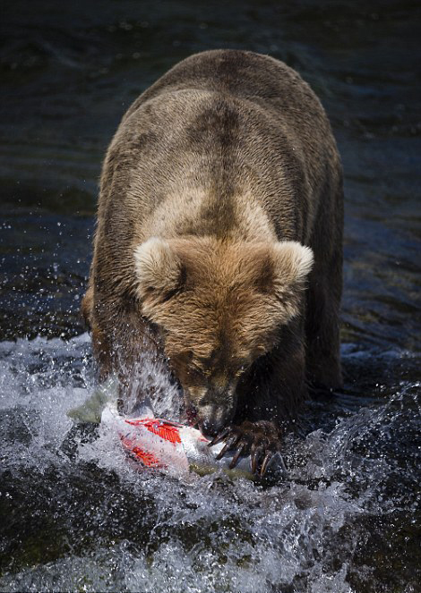 ��������˹�ӿ��������ҹ�԰���ܲ�����