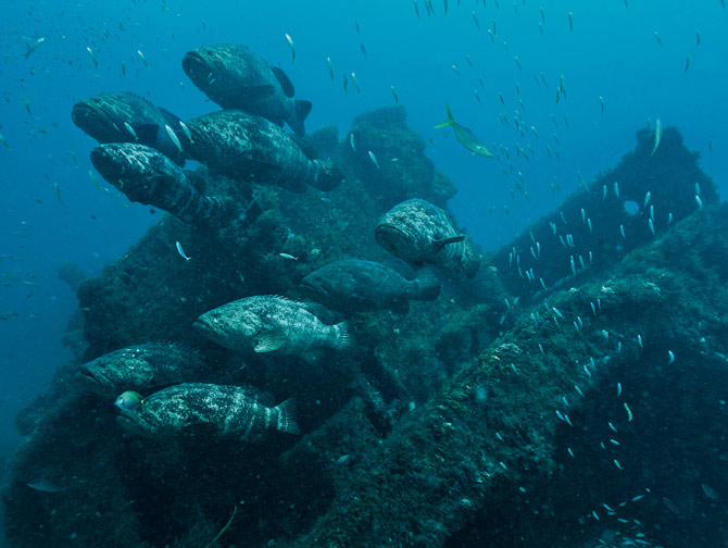 ����������ƥ�ظ���������ʯ������������Ϊ�������г������˹���ʯ�Ϸ���ǿ�������С���������Լ�ʮ�������������Ĺ�ģ�ۼ��ڳ�����ʯ����׼�����ѡ�������Ϊ��ÿ��8