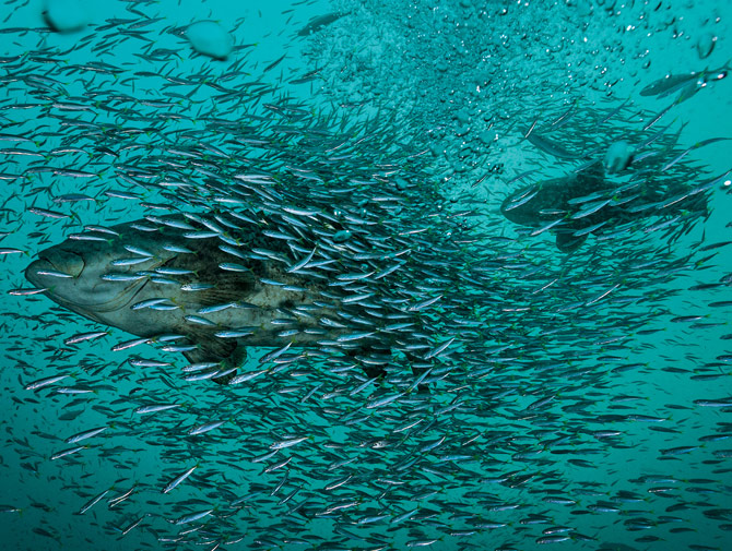 һȺС��Χ����һ��׼���븽��������һ����ѵ�����ʯ������㡣һ�о���֮�������ڿ���ˮ��ĵط��ͳ�����ǧ�Ƶ��ѣ�������������ͳ�һƬ����״�ľ��ӡ���ʱ��Ⱥ����