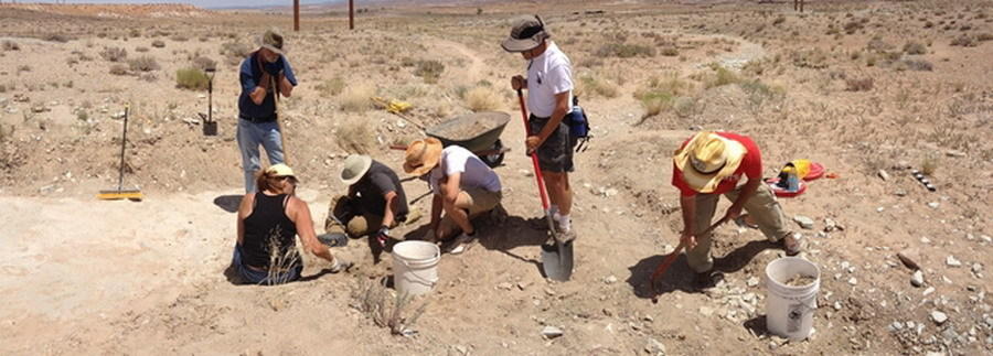 美国犹他州1.12亿年前“恐龙迪厅”将向公众开放 保存10种恐龙留下的200多个足迹化石