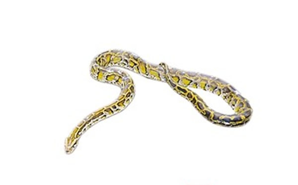 ��ʶһ���������Ҳ���˳�����������ֽ����ߡ����ߡ�˫���š�������Ŀ����������������������֮һ��Ҳ������������͵���������֮һ��������޶���������ɴ�7�ף�����