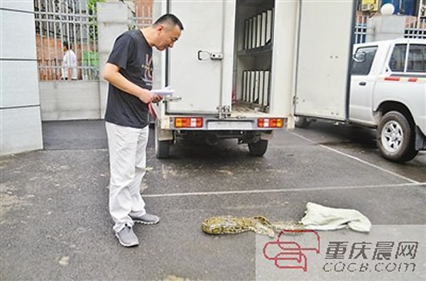 ����԰������Ա���ڶԴ��߽��б��ϡ�