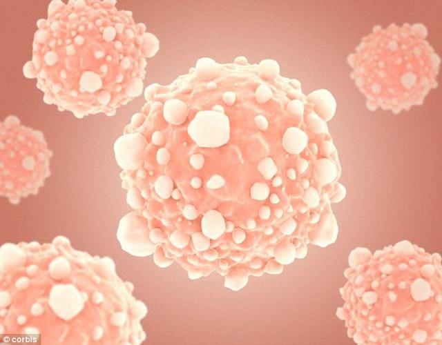 最新研究显示人类无法战胜癌症病魔 癌症具有较强的进化能力