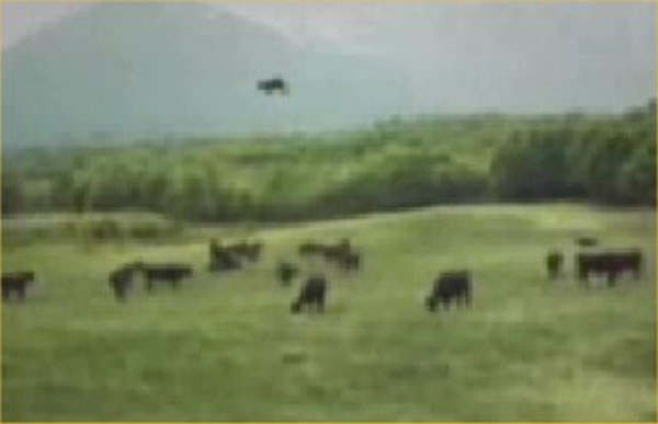 美国联邦调查局FBI解密文件:UFO偷牛