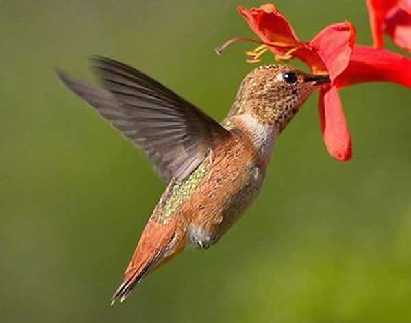 ������Ҫʳ�û��ۣ�ż��Ҳ������