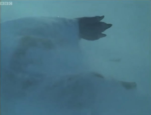 С����Ҳ�����������æ����������ⶳ����