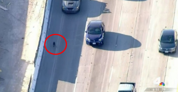 �����ڹ����ٹ�·���ſ� ����˾���š���ǽ������