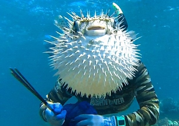 ���������������������