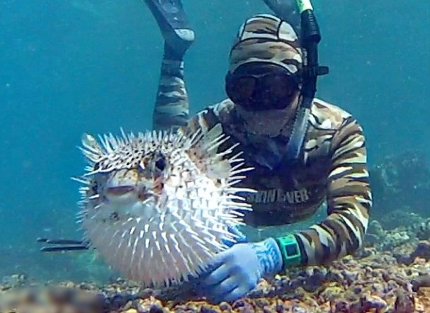 ��������ʸ���������ȥ