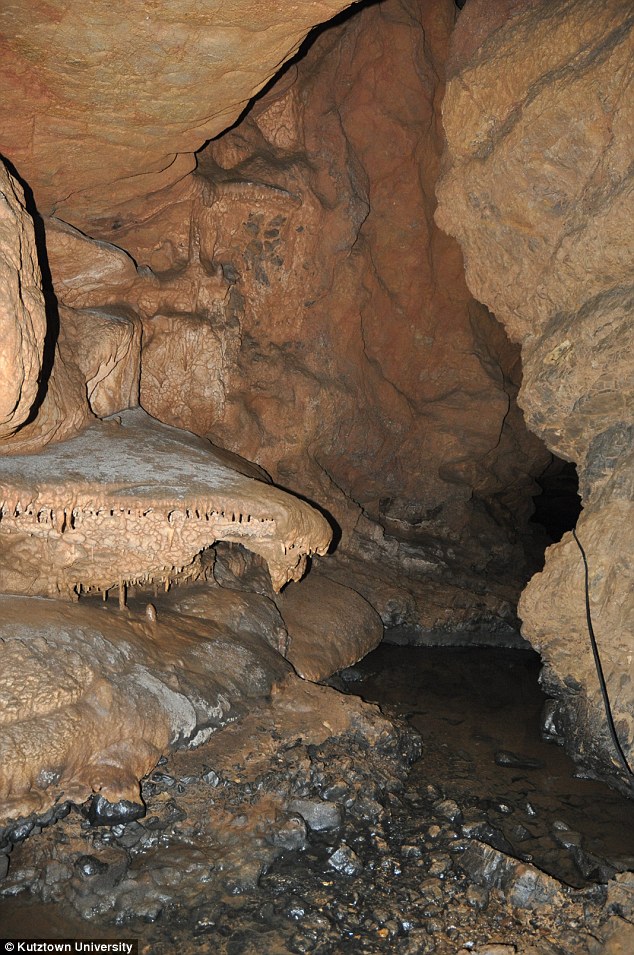 �������Ƕ�Ѩ�з��ֵ������ӡ��ʯ���ܱ�ԭ������Ĺ��ϵö�