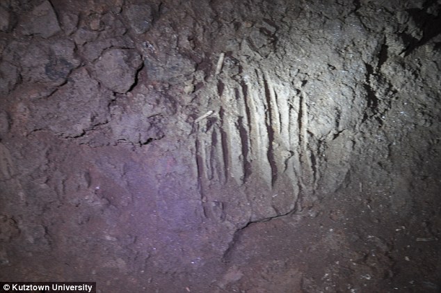 �������ܻ�ʯ�ķ�����̼����������Щ���������㼣���36500��ǰ�����Ƕ��ܻ�ʯ�ڶ�Ѩ��ǽ���ϡ�