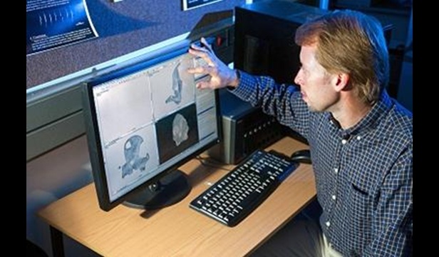 ����С��ͷ�ǵĽ�����ṹ����