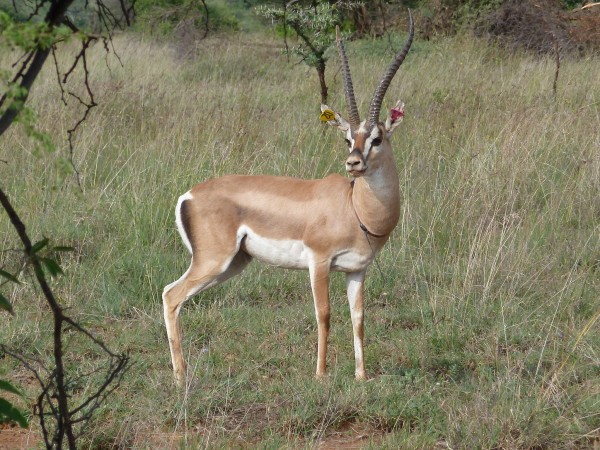 ����������Ӱ�����Ե���ĵ�λ