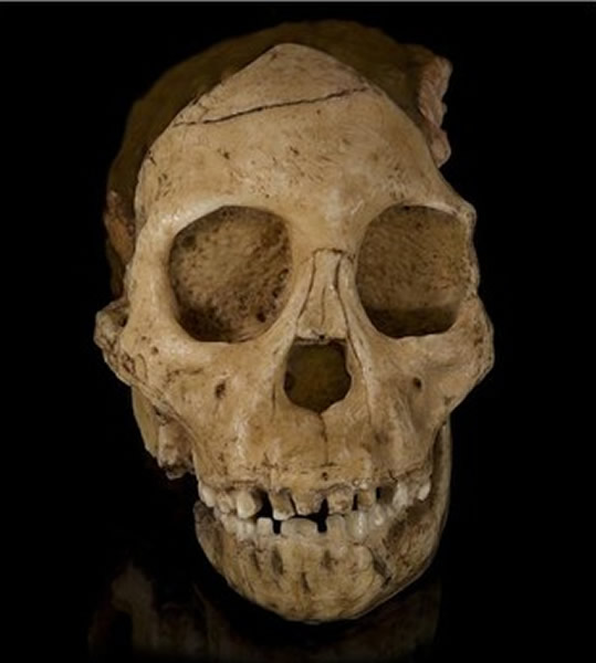 �����о���ʾ300����ǰ�����׶�ͷ���в�������­��֯