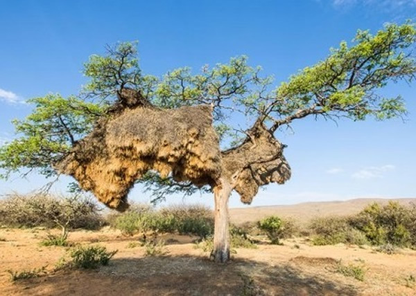 ���޴�����һǧ���������