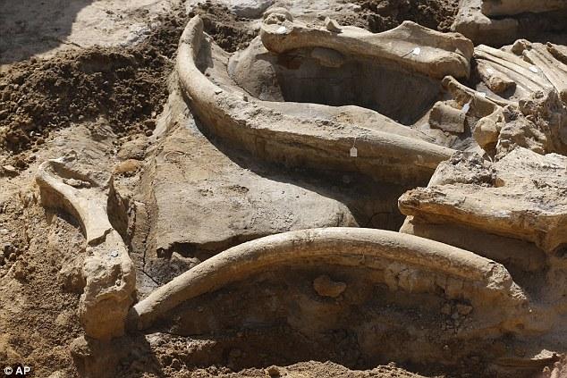 ��������ũ�����ӷ�������ʷǰ������ʯ�ź�