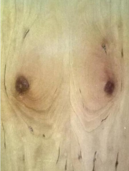 ���淢�֣�ľͷ�������������鷿