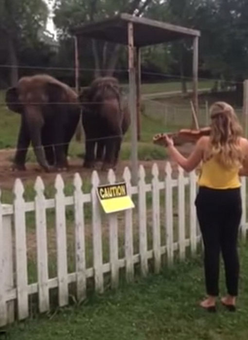 ������˹�����ݶ���԰��ֻ������С����������Ȼ����