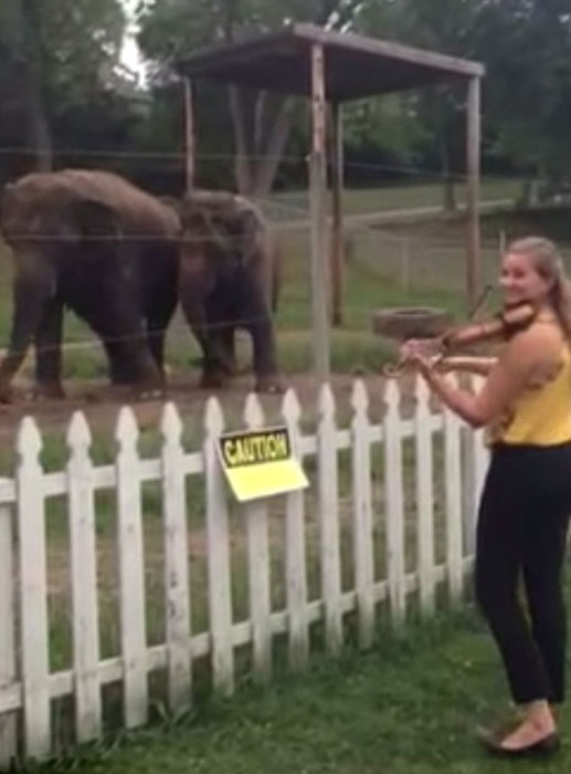 ������˹�����ݶ���԰��ֻ������С����������Ȼ����