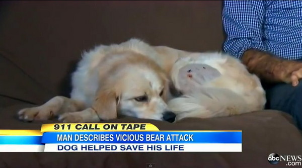 亨利全身也伤痕累累