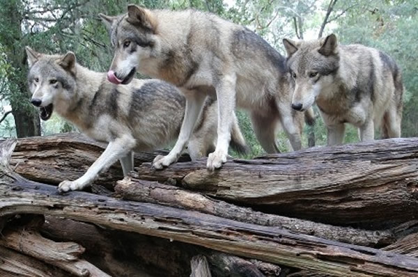 �о�������Ⱥ�����д�Ⱦ�Դ��Ƿ