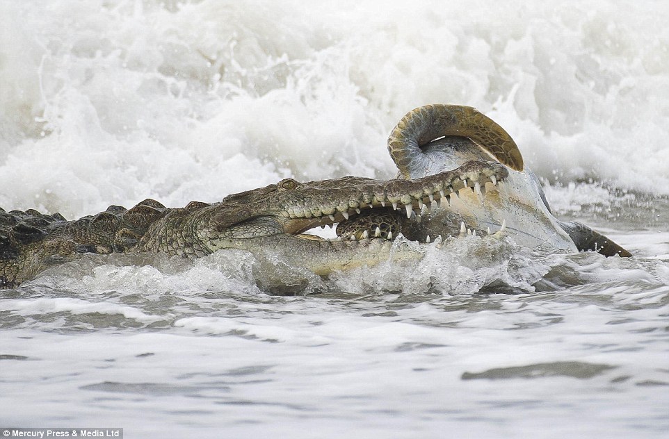 ��˹����ӹ��ҹ�԰���¾����ɺ���ĺ���һĻ