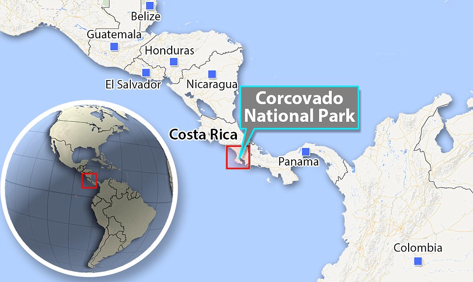 ��˹����ӹ��ҹ�԰���¾����ɺ���ĺ���һĻ