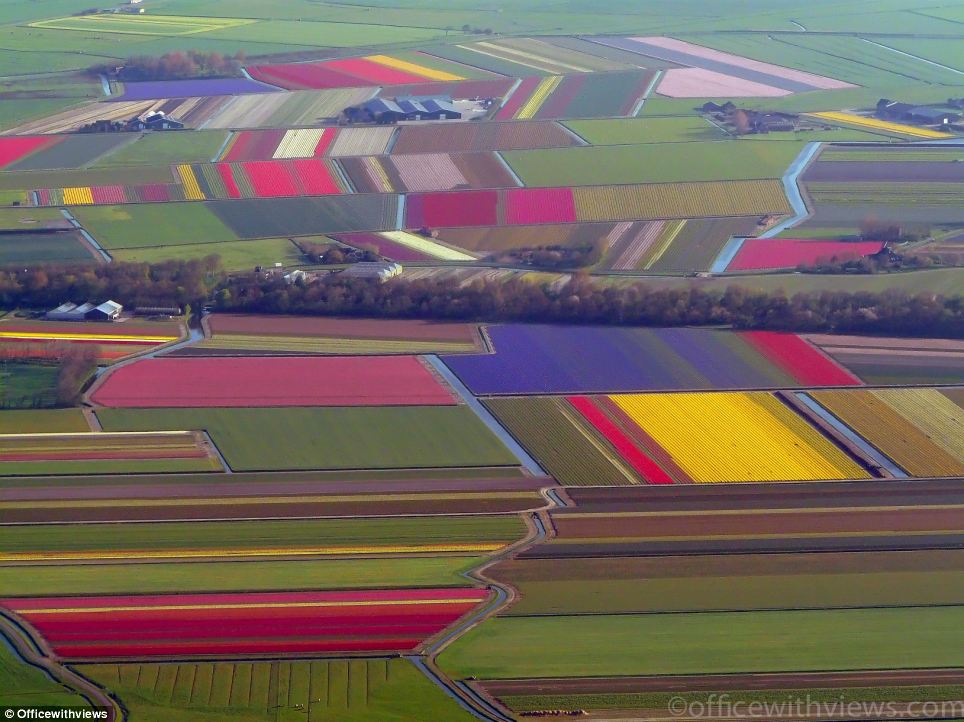 ����������Ա�Ӽ�ʻ�����㵽���˾�̾���ѵľ�ɫ