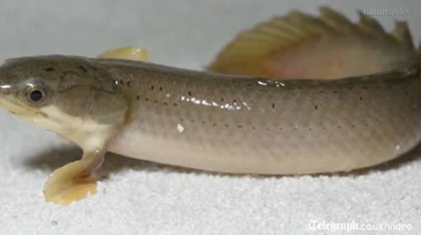 ���ô��ѧ���о�������Ϊ������½������