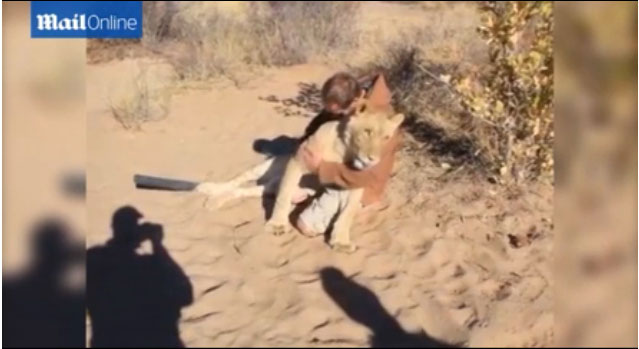 ���޲�������һֻ��ʨһ���������߾����������ȥӵ��