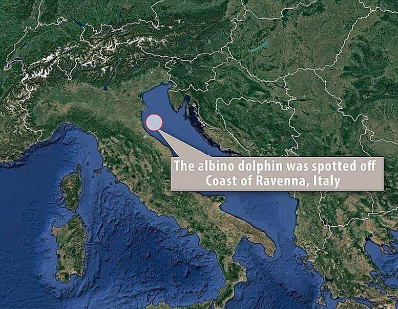 ���к��������ֺ�����ϡ�׻�����