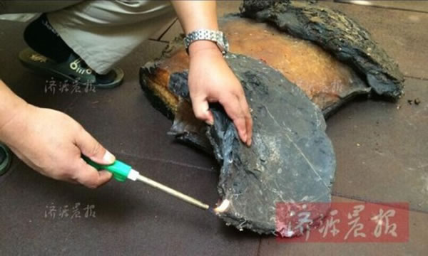 ��ʾ������ơ�̫�ꡱ�����岻��ȼ��