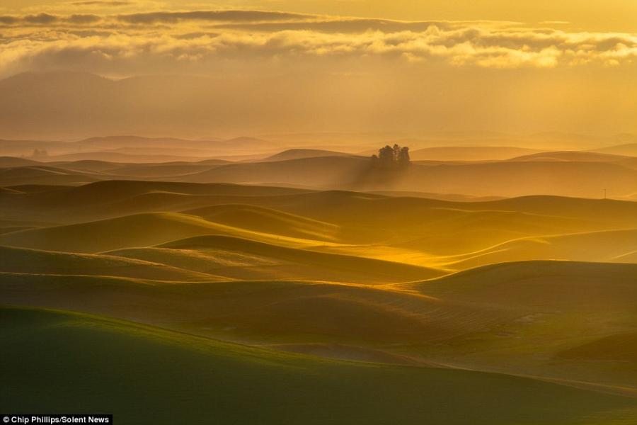 ��Ӱʦ����������¬˹�����Ĳ�ԭ���