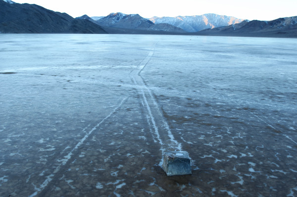 石头身上的卫星定位标记记下石头在寒冷早上移动情况