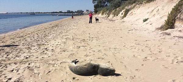 �Ĵ��������Ϻ���ƵƵ�к�����������ɹ̫����