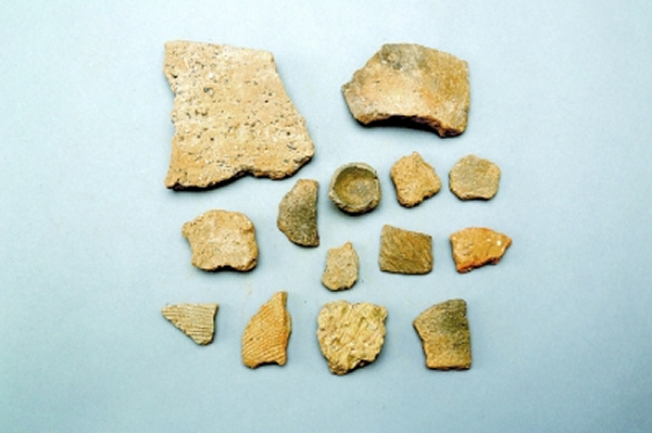 摆宴坝城址发掘出的文物残片