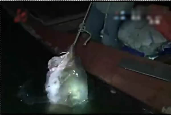 ���㱻�Żؽ���