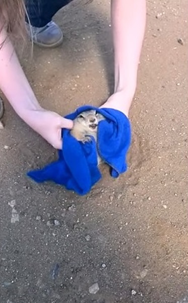 Ů����ë����ס������