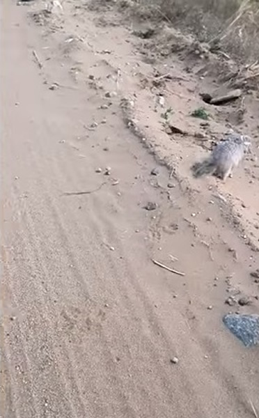 �����������ɺ󣬰��Ⱦ��ܡ�