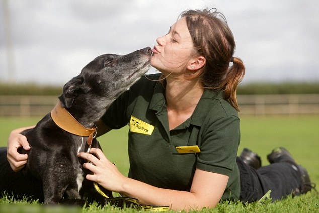 �ܵ����չ�Ա����Ҫ��