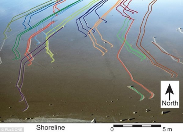 �ƽ��������������ȹ��ҹ�԰��ʯͷ����·��֮��