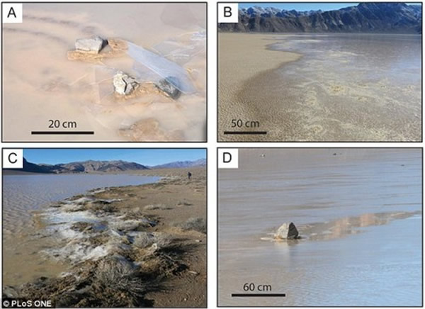 ���Ϸ���ͼƬ��ʾ���������ƶ��ƶ�ʯ����ǰ�н��ġ����������������Ϸ���ͼƬ��ʾ������2013��12��20�յ�ʯ���ƶ������У�ˮ�����ˮ�������򱱰��ƶ������·���ͼ