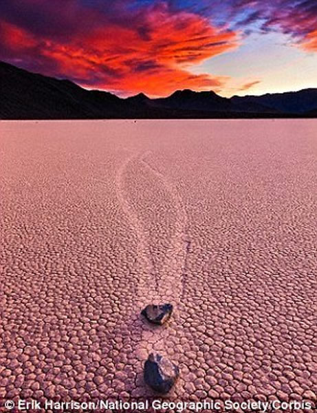 �ƽ��������������ȹ��ҹ�԰��ʯͷ����·��֮��