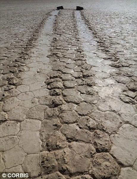 �ƽ��������������ȹ��ҹ�԰��ʯͷ����·��֮��