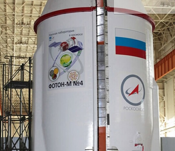 俄罗斯“光子-M”生物卫星返回地球 太空乘客——5只壁虎全部“殉职”